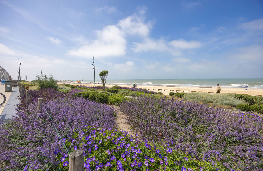 Appartement à vendre a Westende