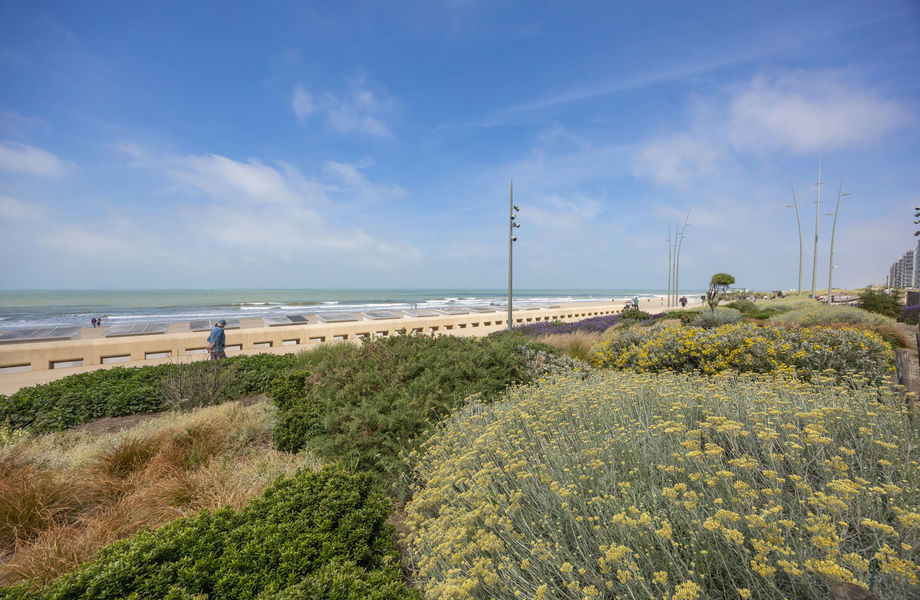 Appartement te koop in Westende