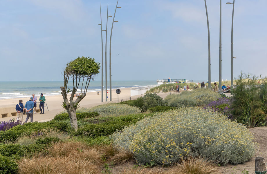 Appartement te koop in Westende