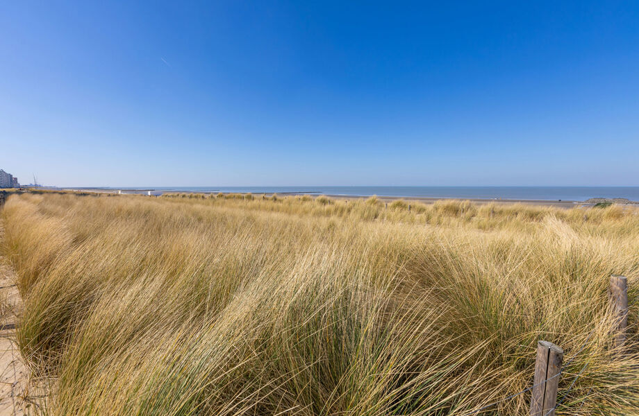 Appartement te koop in Westende